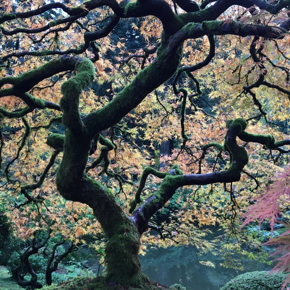 Meet your Posher, Marina